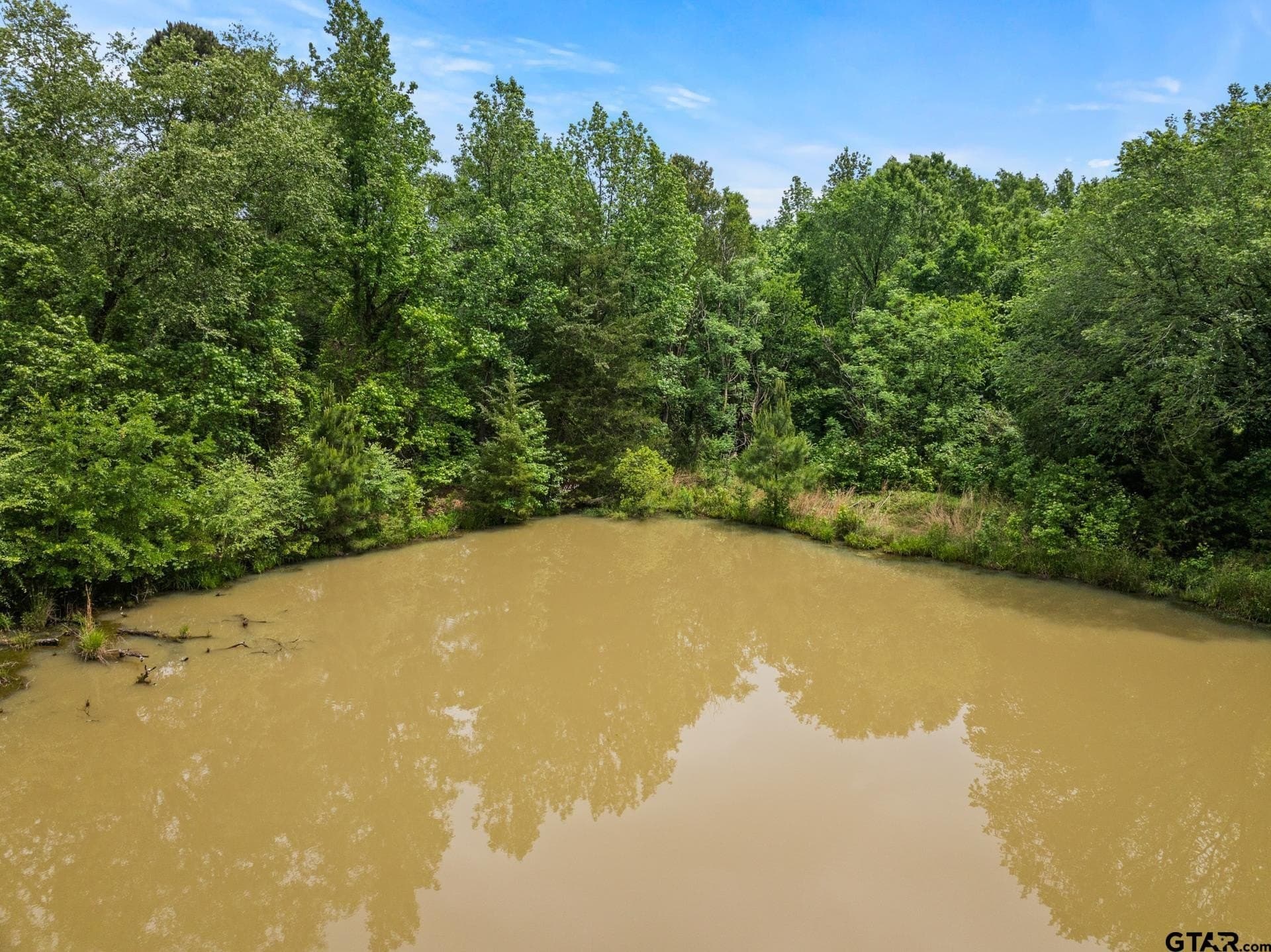 34.04 acres in Camp County - photo 14