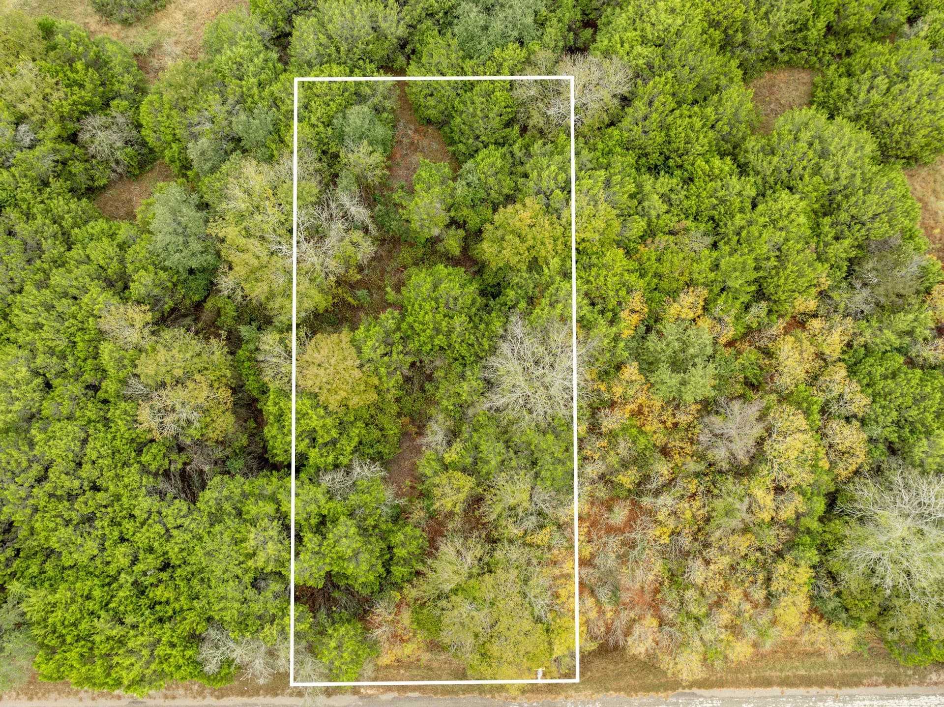 0.26 acres in Hill County - photo 6