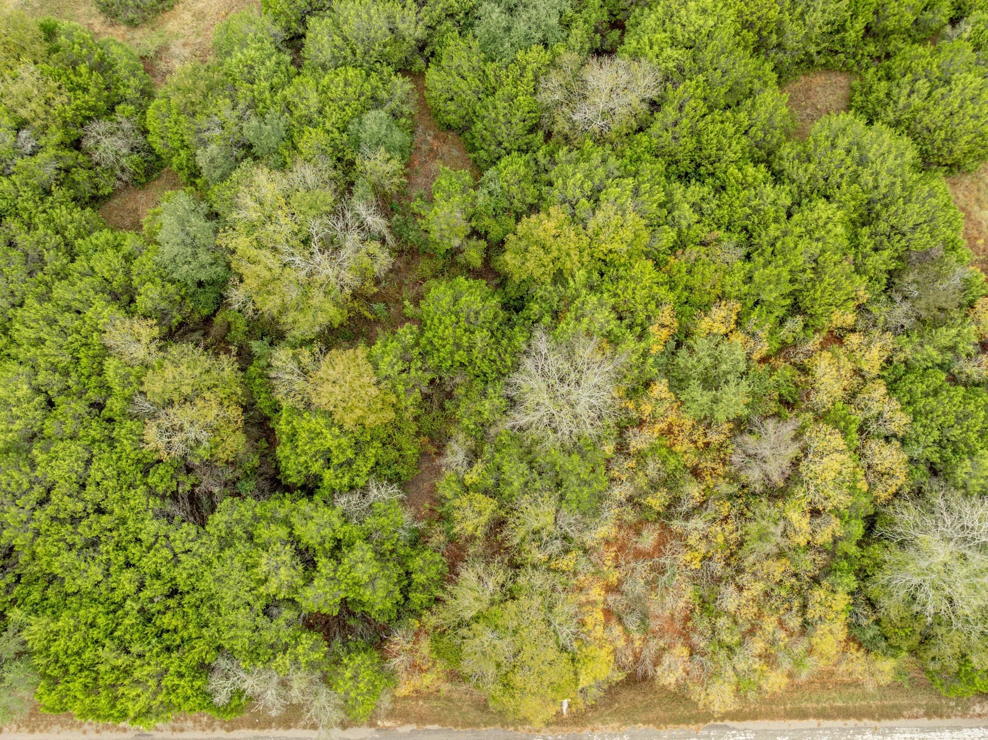 0.26 acres in Hill County featured view