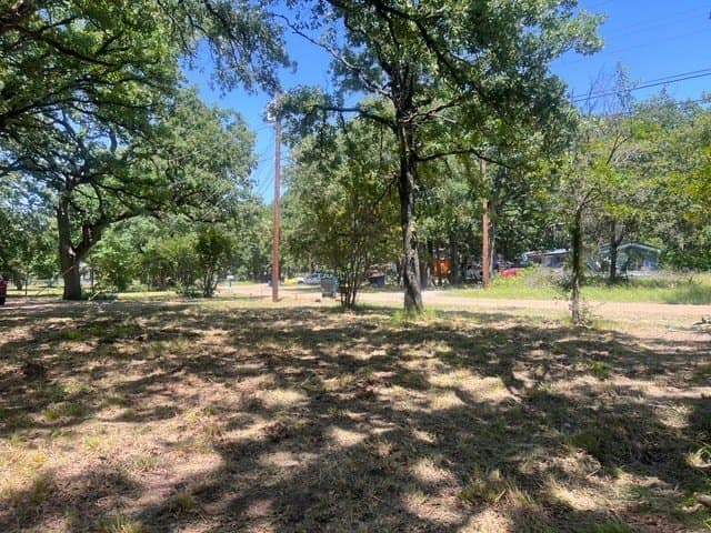 0.28 acres in Henderson County - photo 9