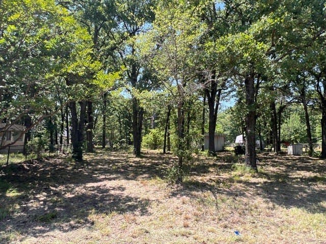 0.28 acres in Henderson County - photo 8