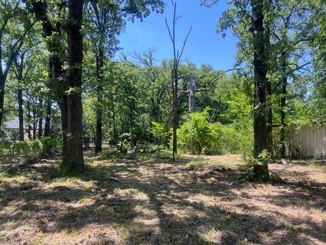 0.28 acres in Henderson County - photo 7