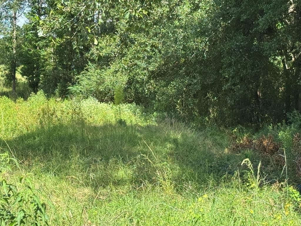 22.09 acres in Texas County - photo 4