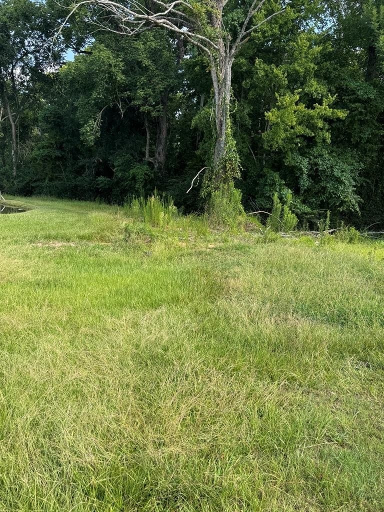 22.09 acres in Texas County - photo 3