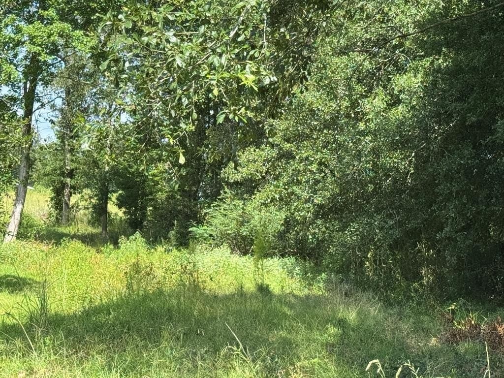 22.09 acres in Texas County - photo 2
