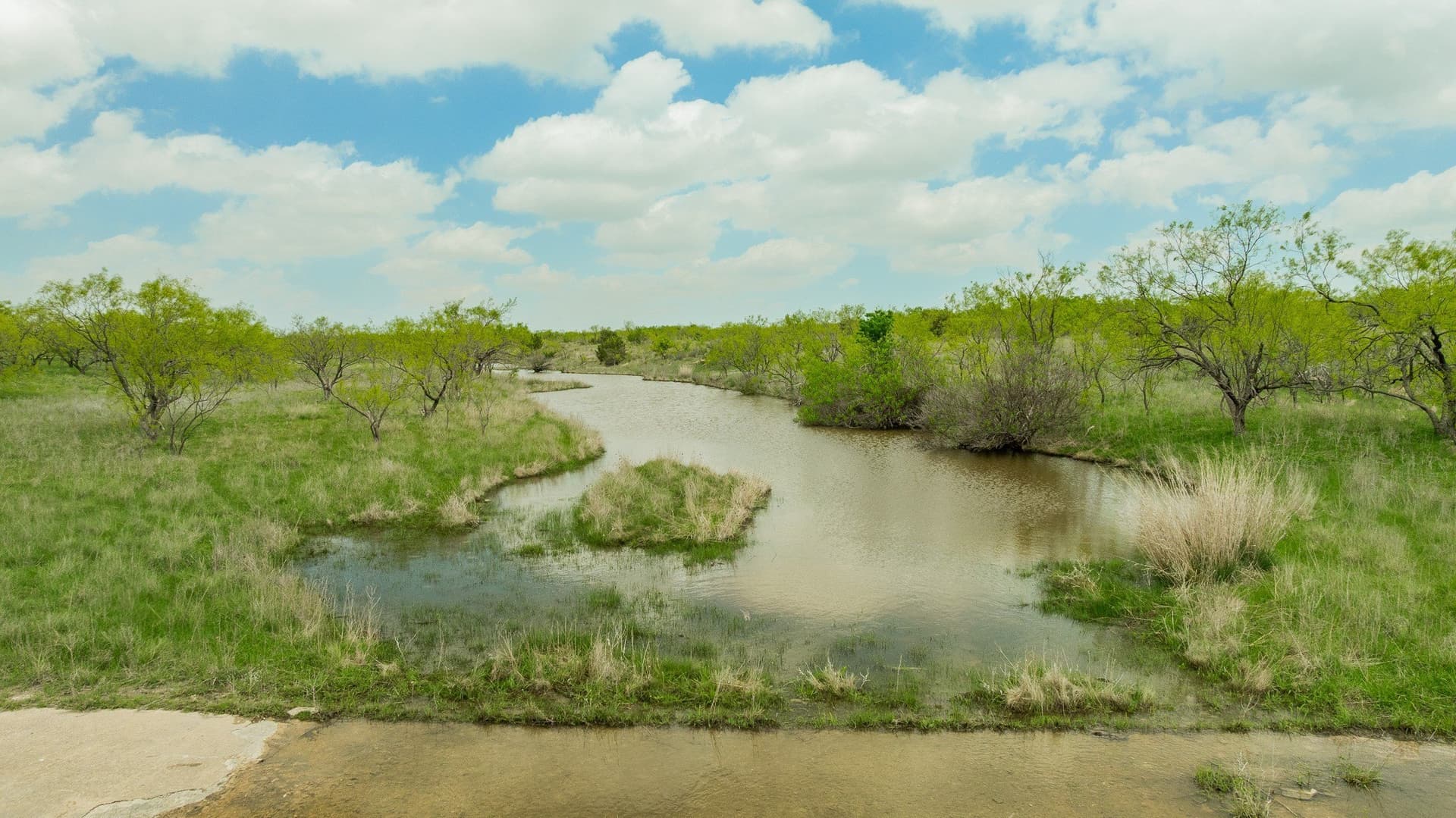 2,242 acres in Runnels County - photo 11