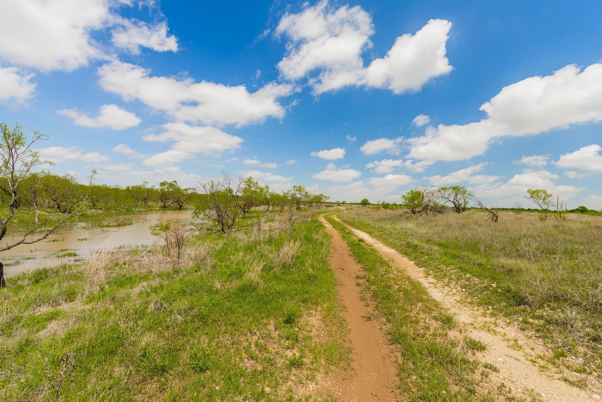 2,242 acres in Runnels County - photo 13