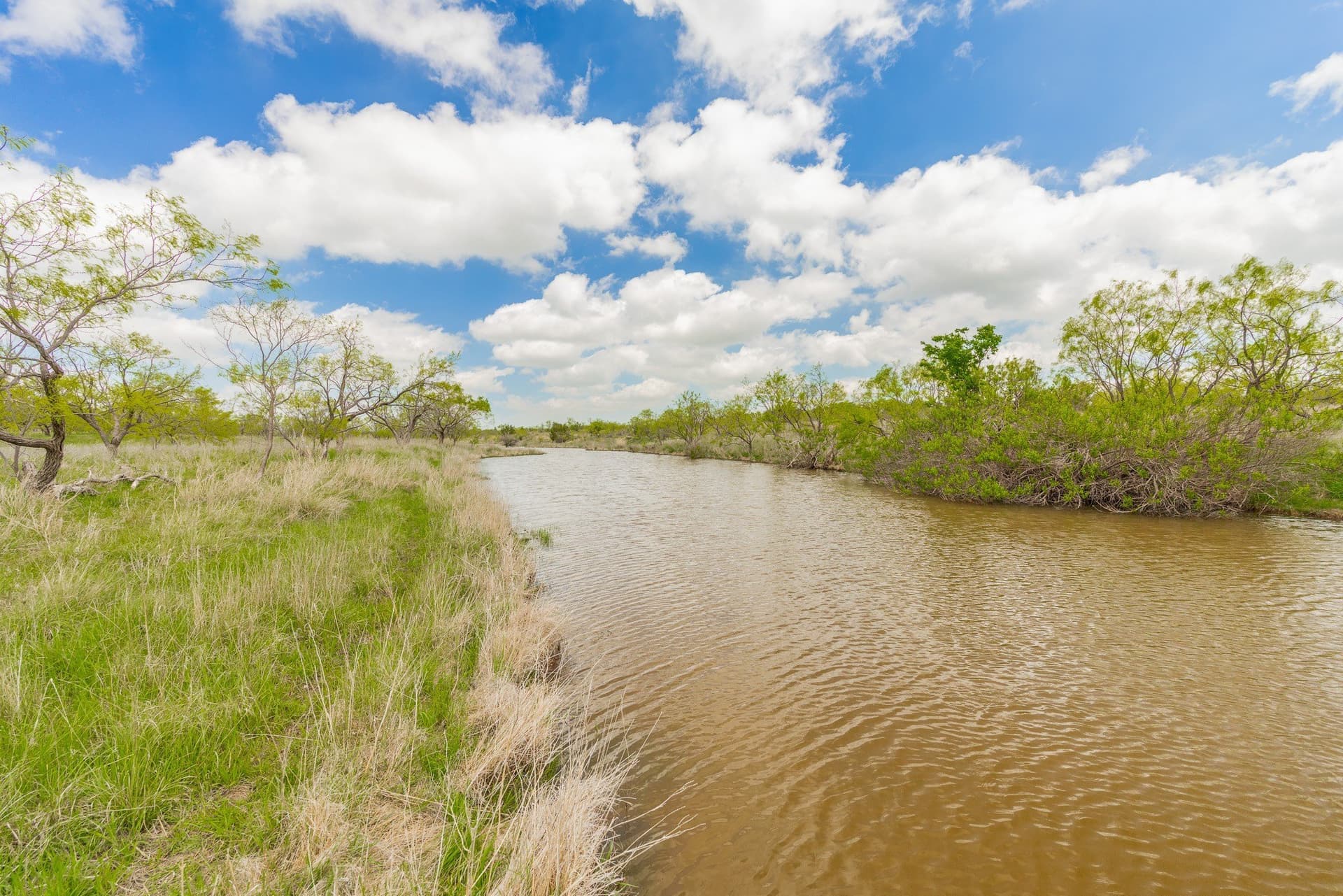 2,242 acres in Runnels County gallery image 2