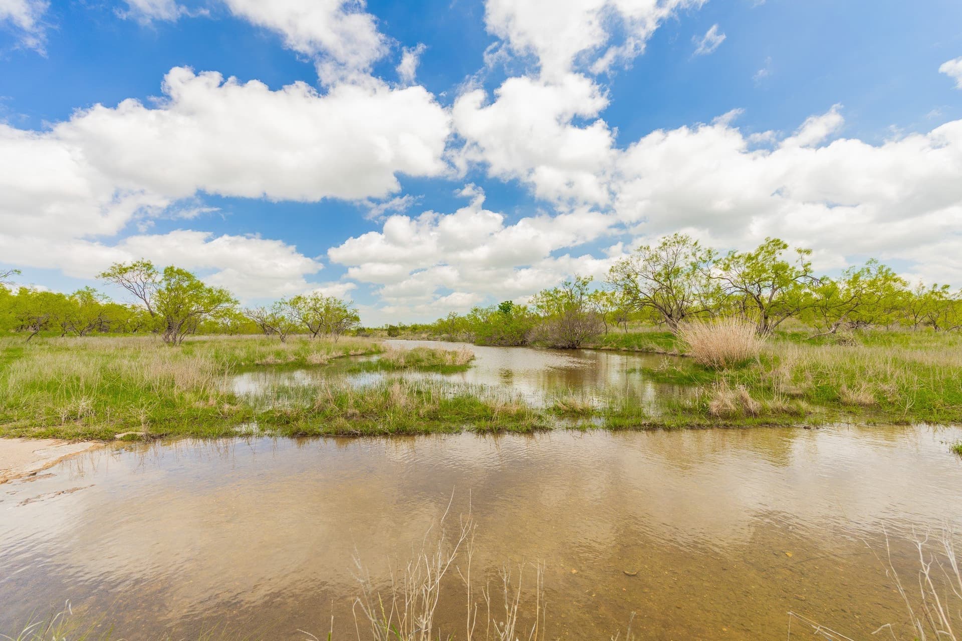 2,242 acres in Runnels County - photo 7