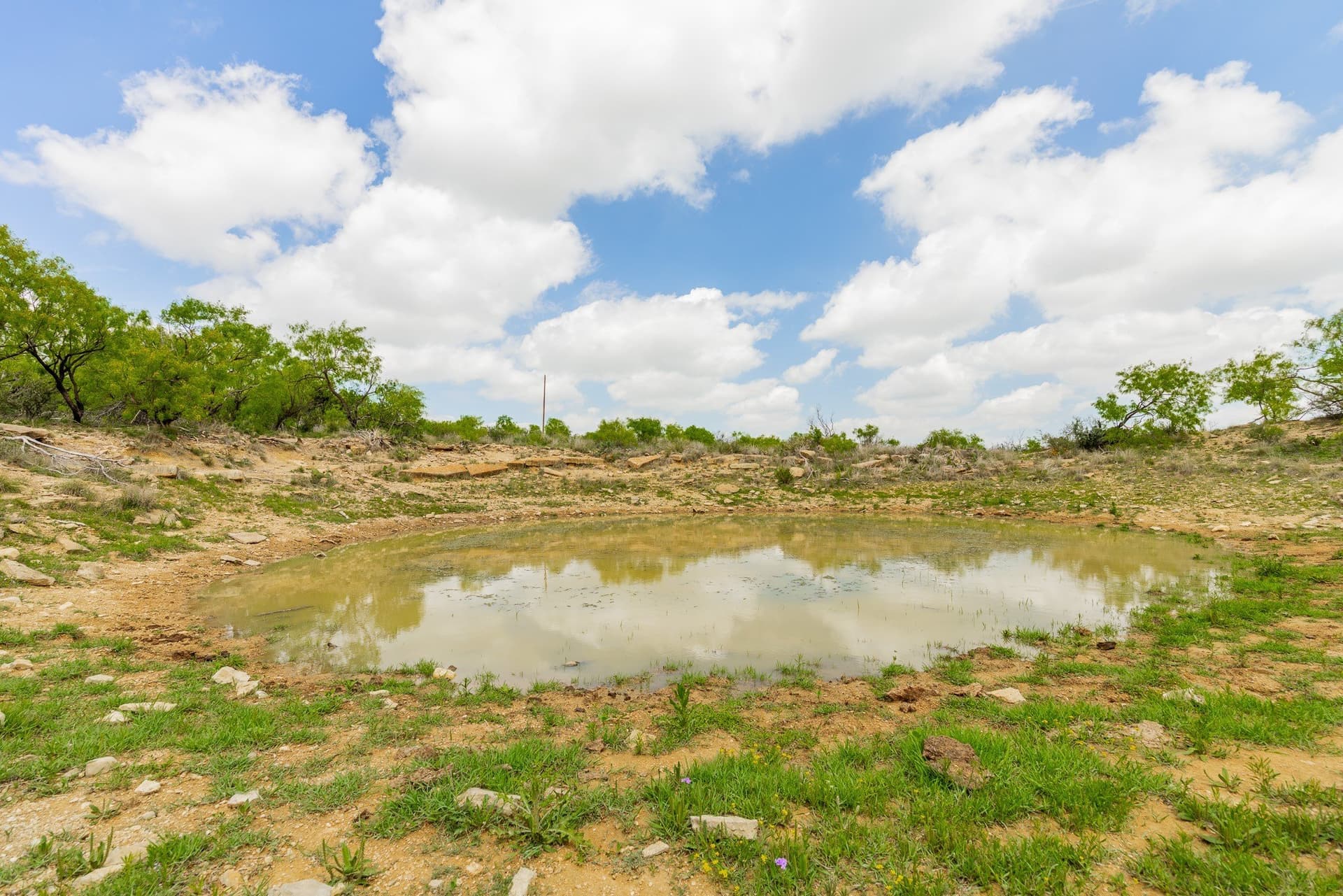 2,242 acres in Runnels County - photo 9