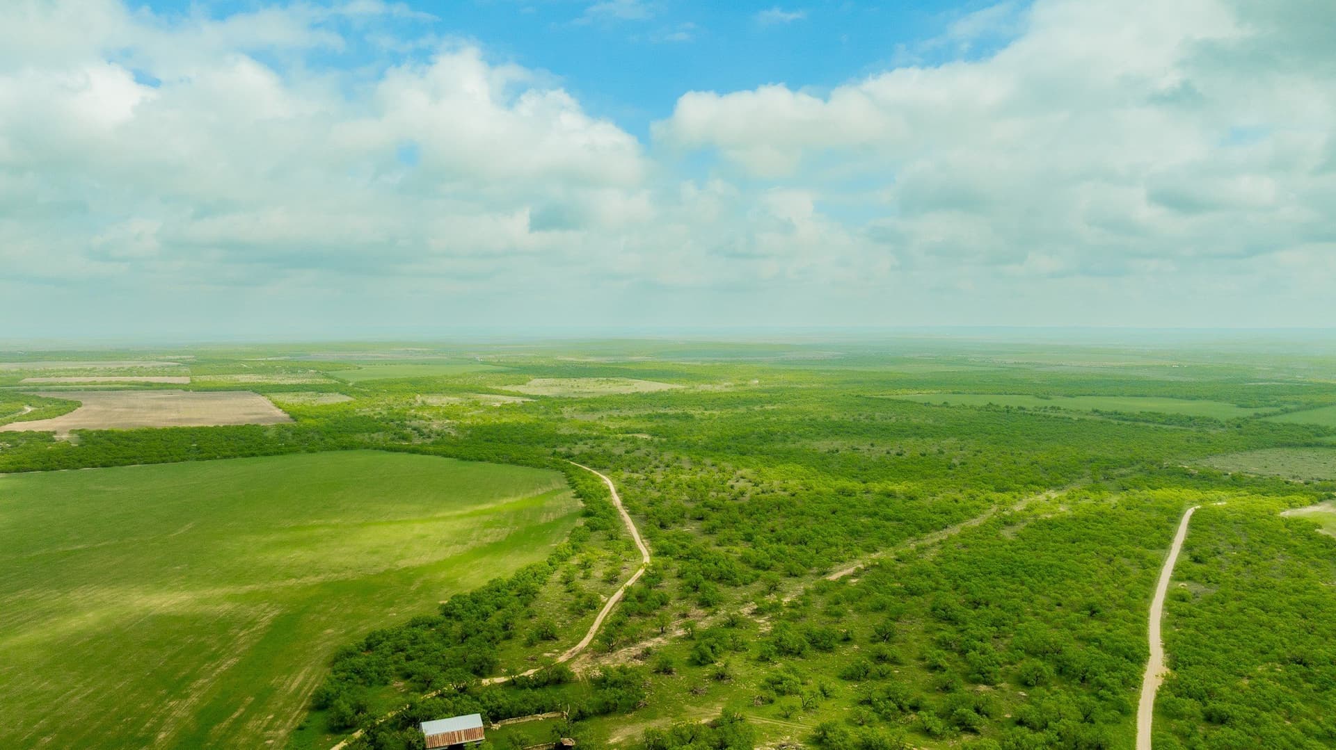 2,242 acres in Runnels County - photo 23