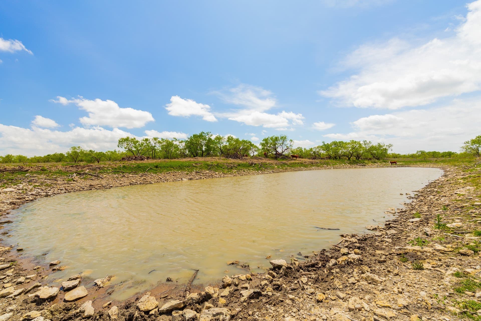 2,242 acres in Runnels County featured view