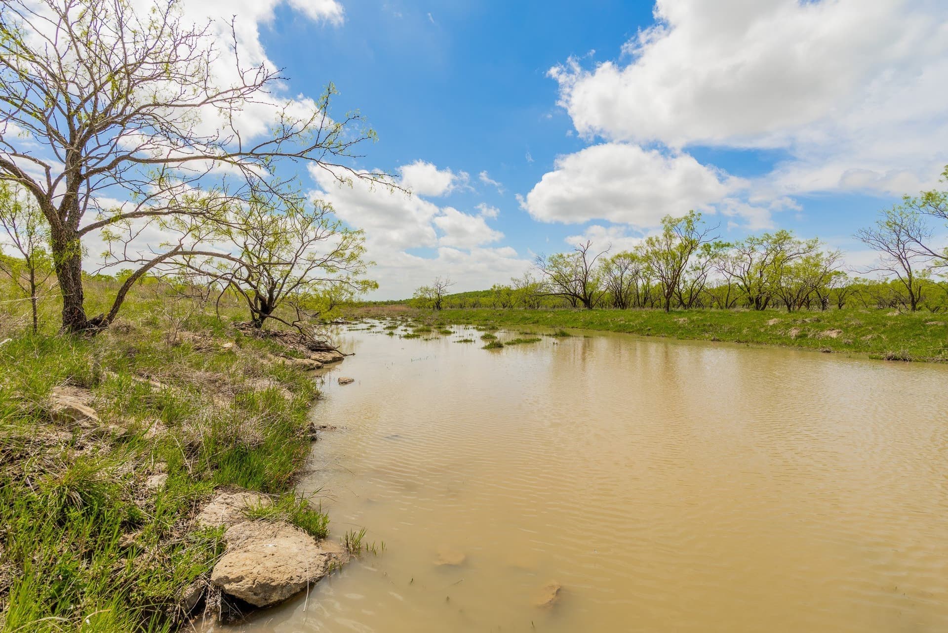 2,242 acres in Runnels County gallery image 3