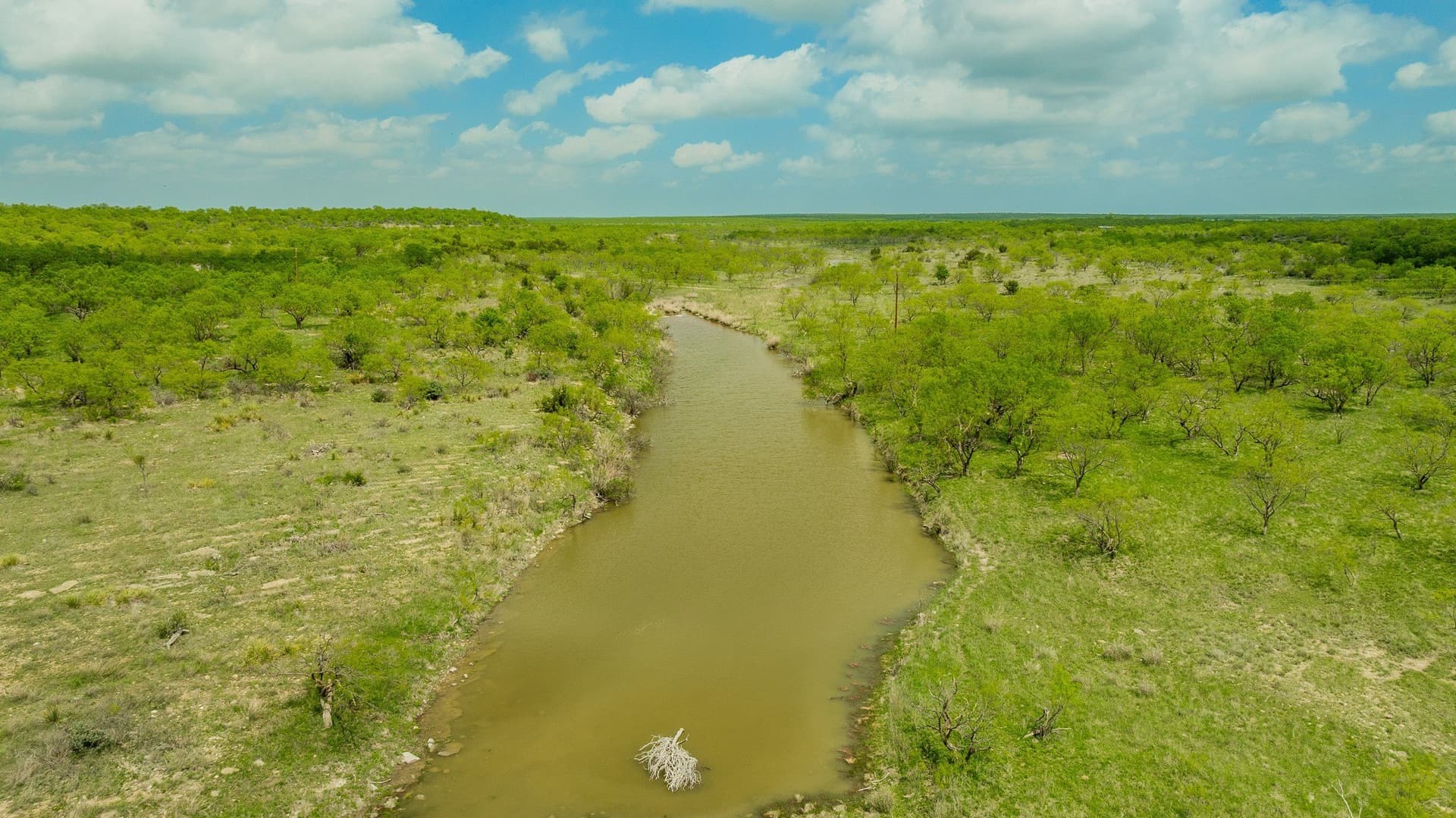 2,242 acres in Runnels County - photo 12