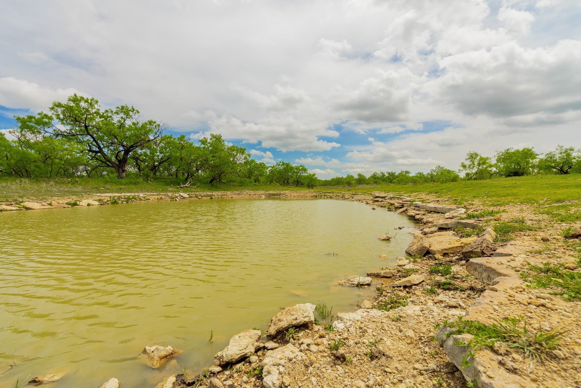 2,242 acres in Runnels County - photo 10