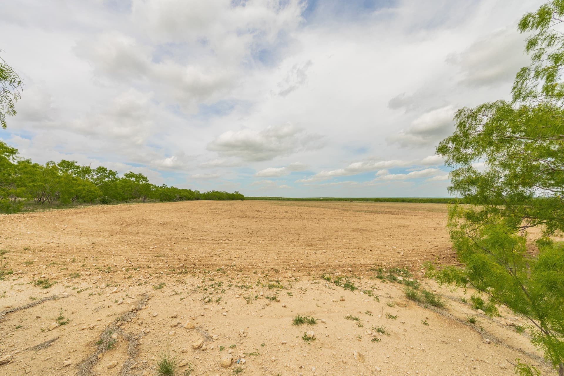 2,242 acres in Runnels County - photo 19