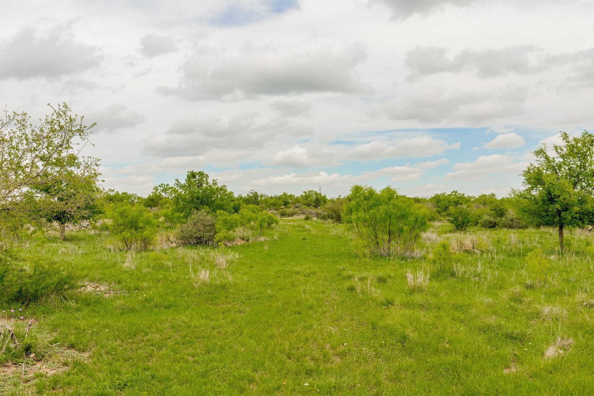 2,242 acres in Runnels County - photo 17