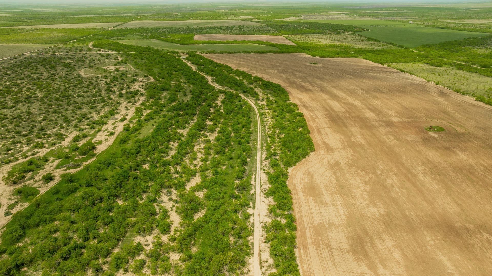 2,242 acres in Runnels County - photo 20