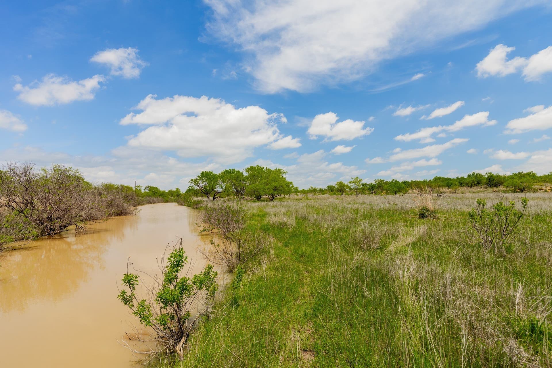 2,242 acres in Runnels County - photo 6
