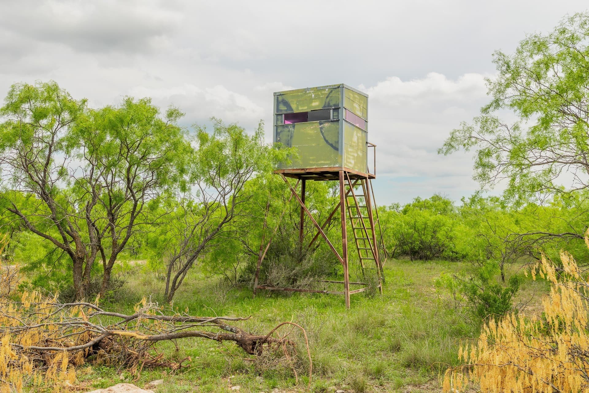 2,242 acres in Runnels County - photo 15
