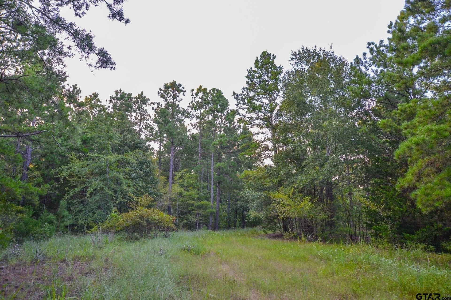 33 acres in Henderson County - photo 24