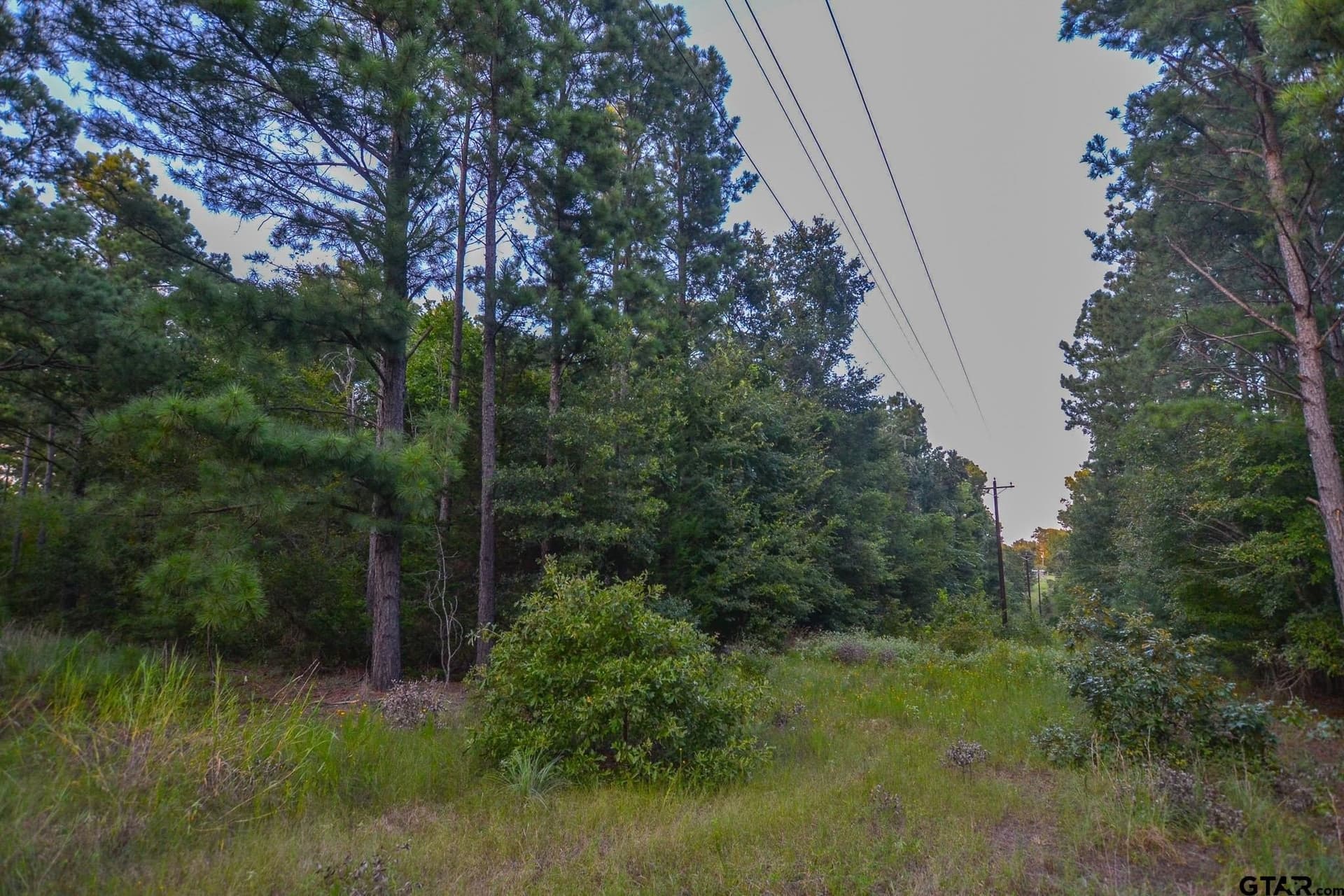 33 acres in Henderson County - photo 10