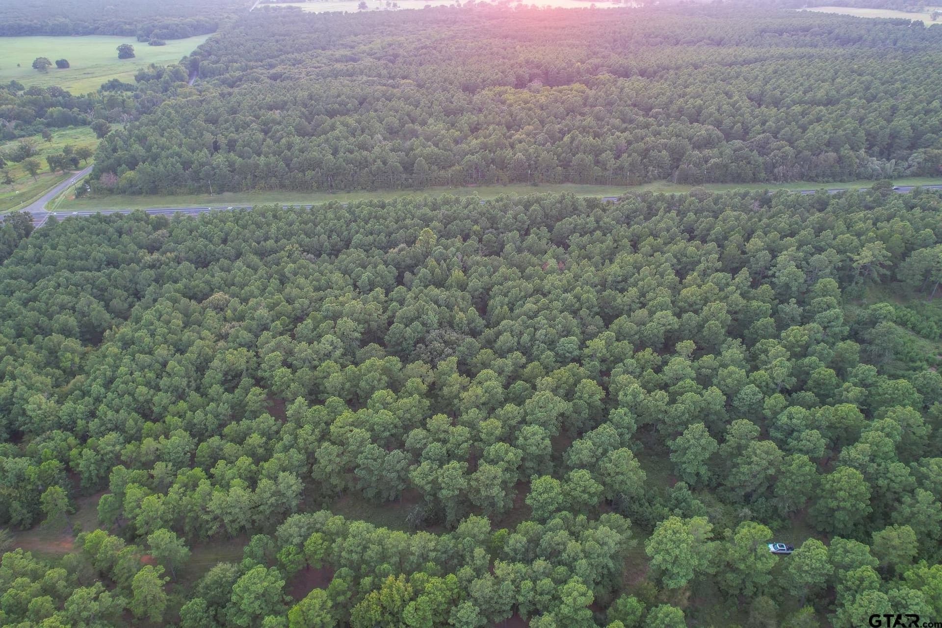 33 acres in Henderson County - photo 6