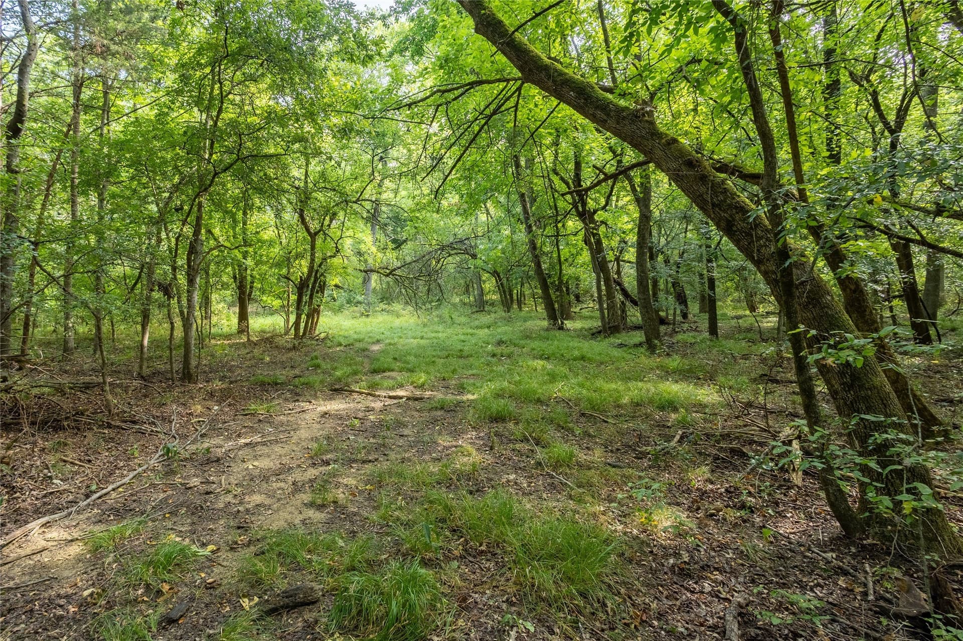 322.62 acres in Fannin County - photo 19