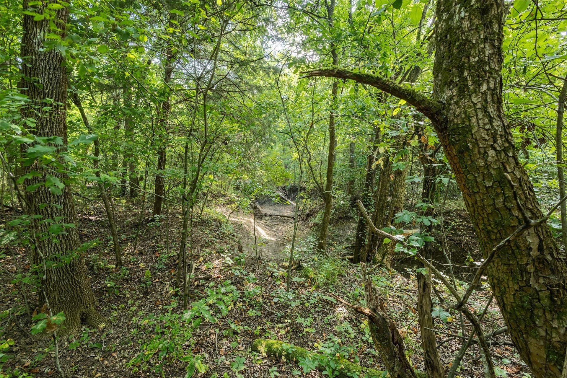 322.62 acres in Fannin County - photo 18