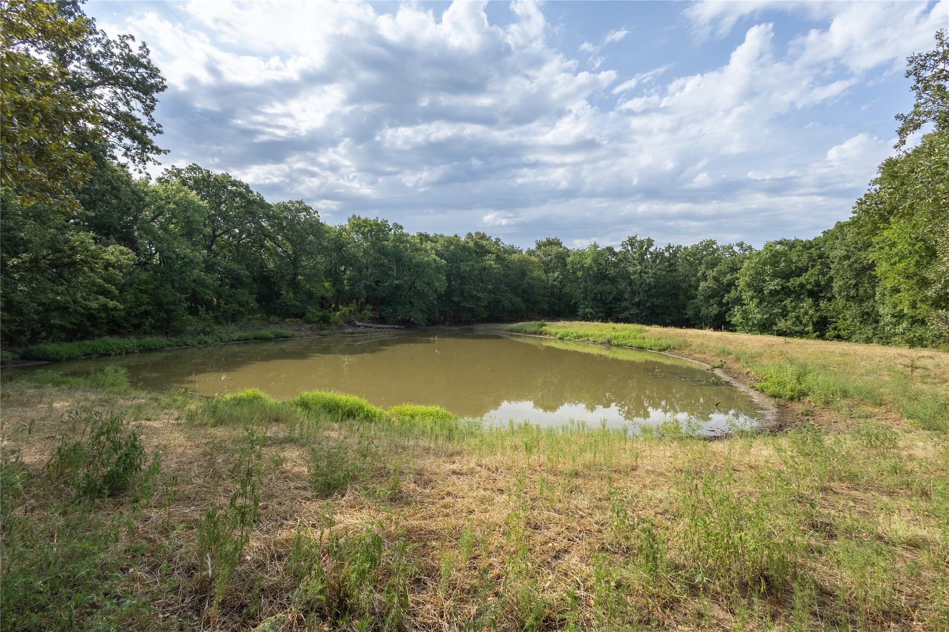 322.62 acres in Fannin County - photo 10