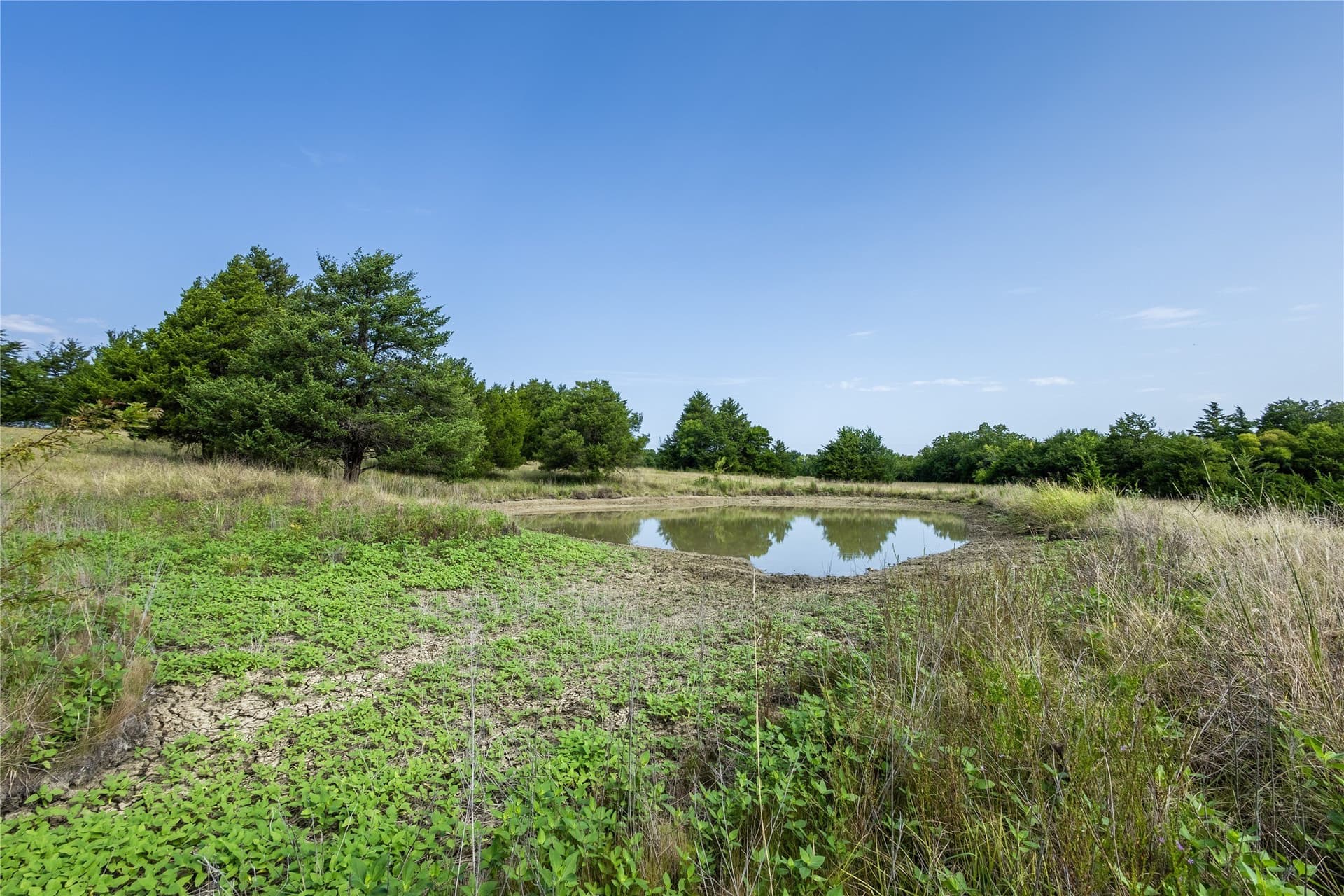 322.62 acres in Fannin County - photo 12