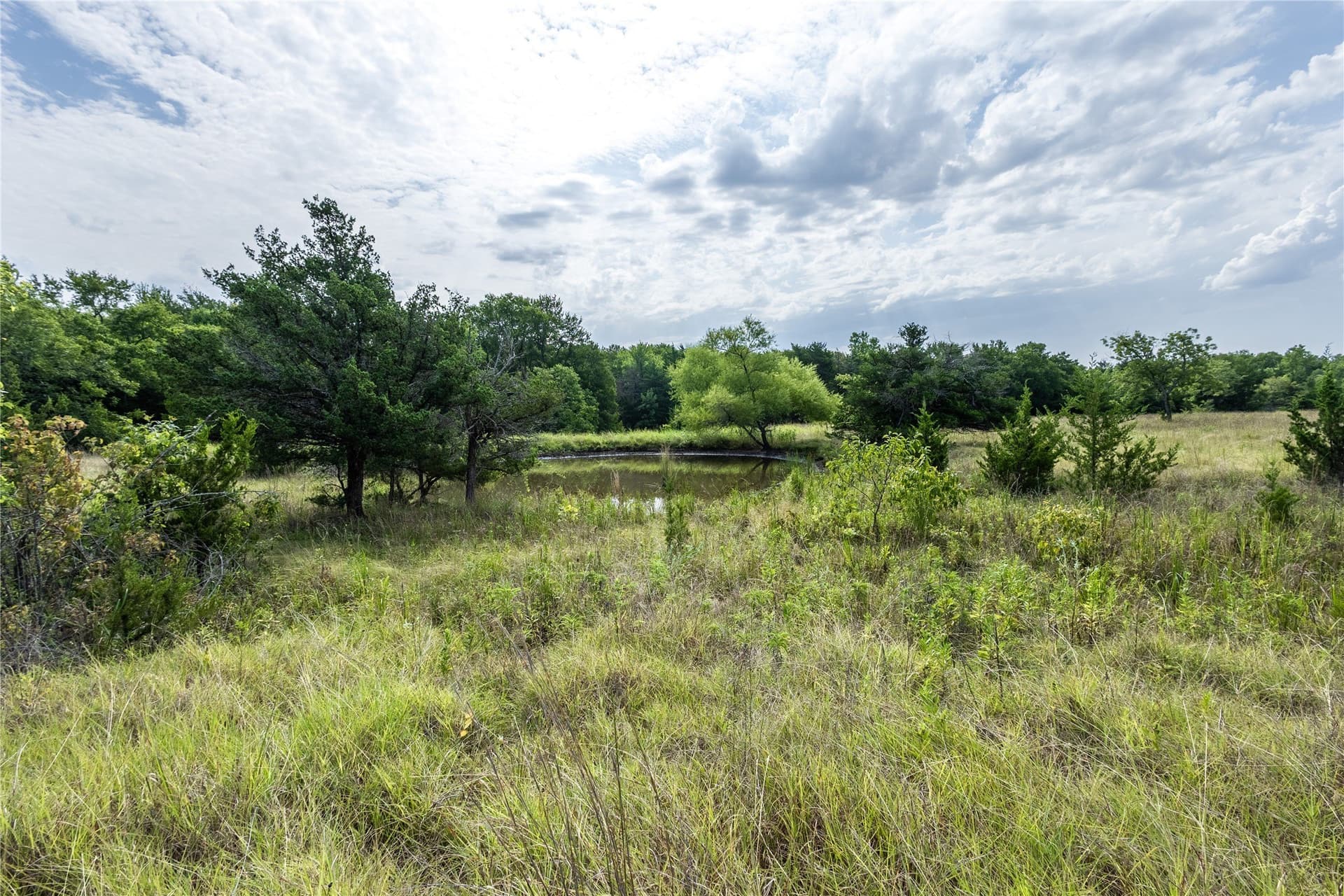 322.62 acres in Fannin County - photo 13