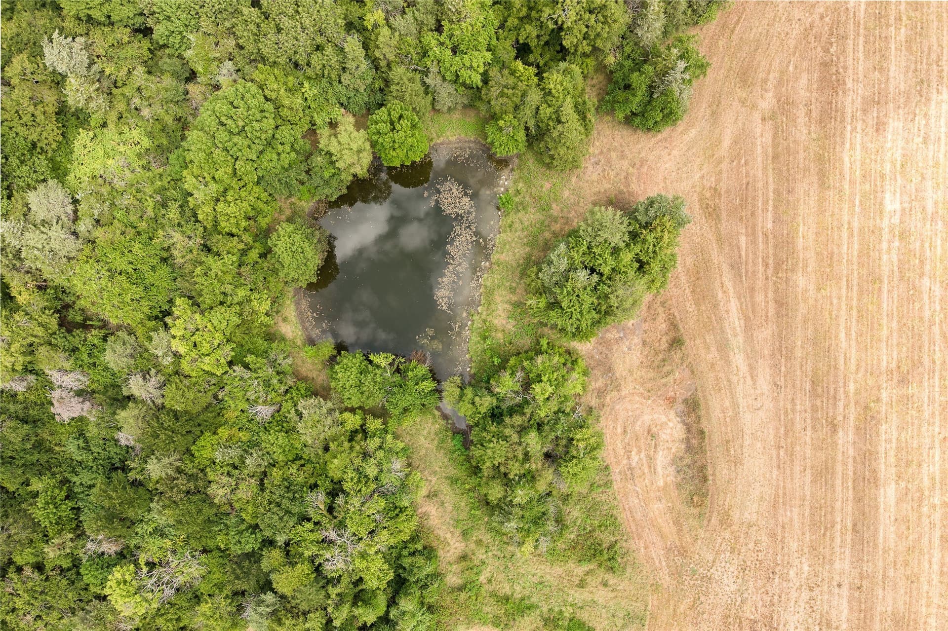 322.62 acres in Fannin County - photo 31