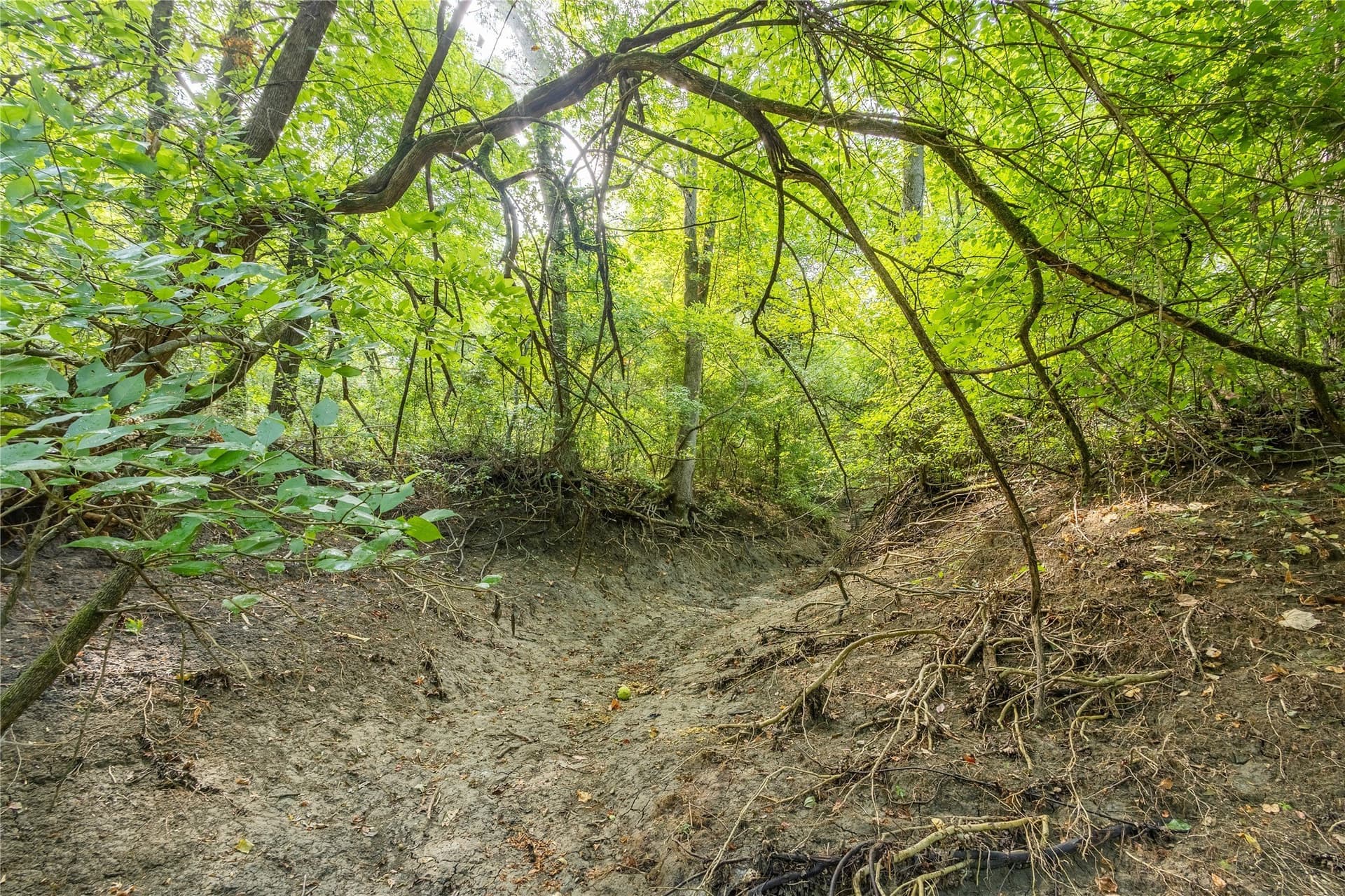 322.62 acres in Fannin County - photo 17