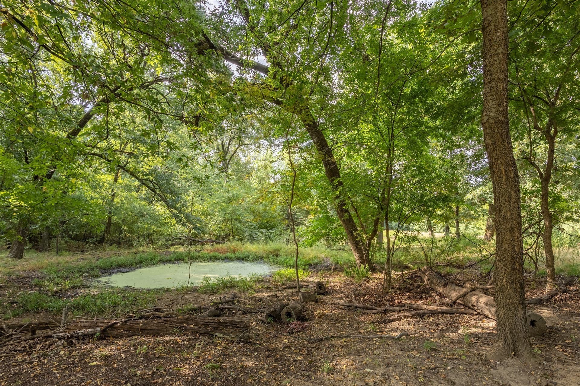 322.62 acres in Fannin County - photo 9