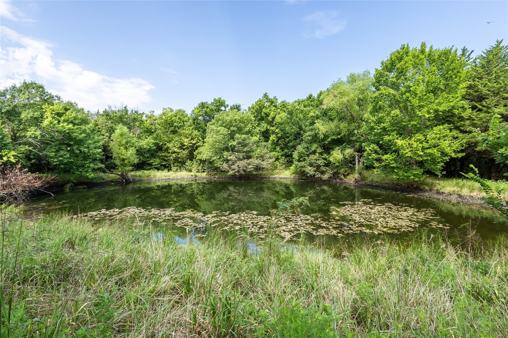 322.62 acres in Fannin County - photo 14