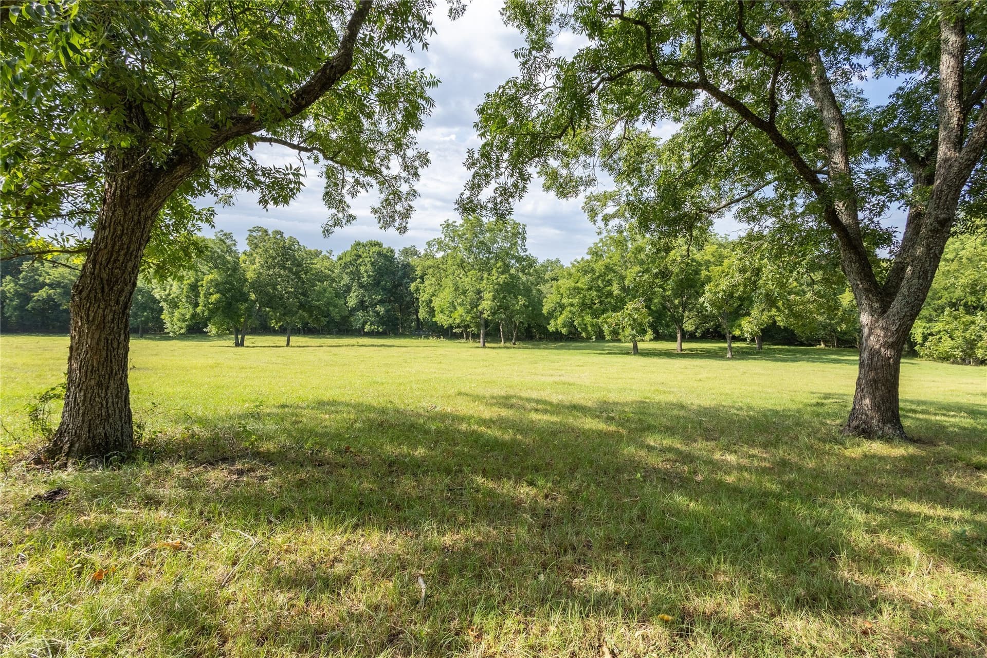 322.62 acres in Fannin County - photo 16