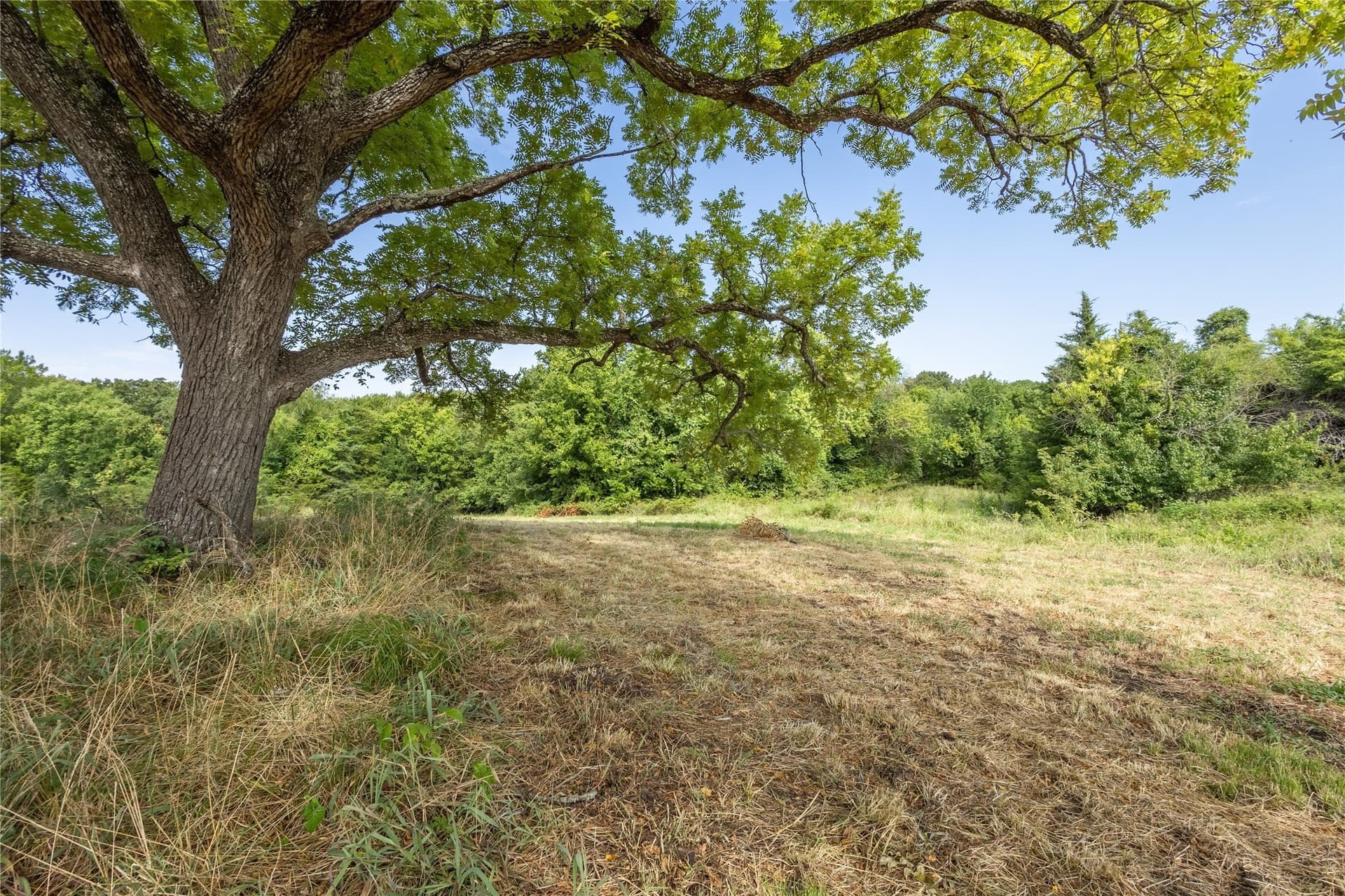 322.62 acres in Fannin County - photo 29