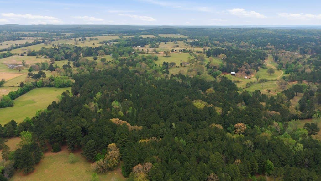 69.19 acres in Henderson County - photo 30