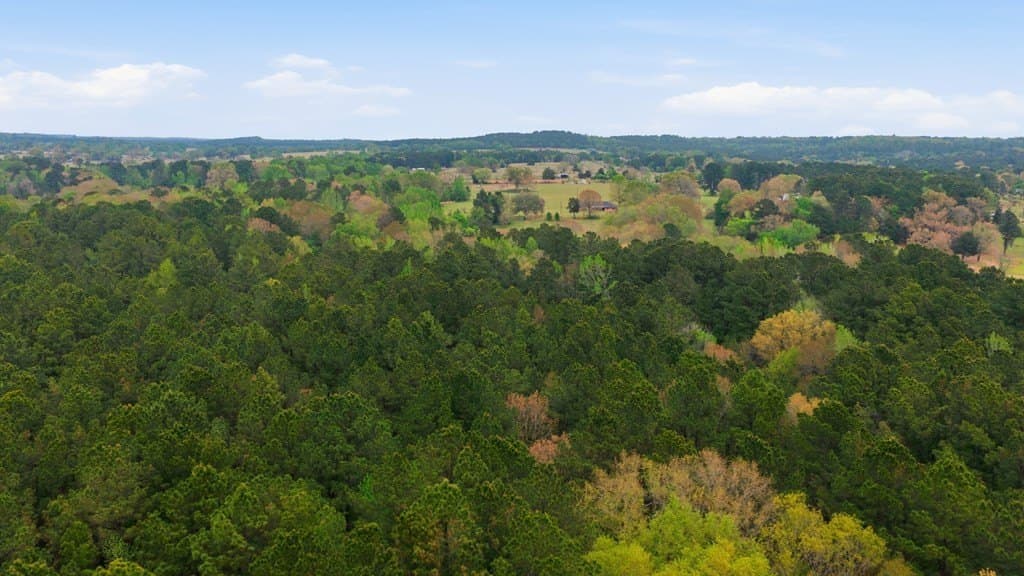 69.19 acres in Henderson County - photo 32