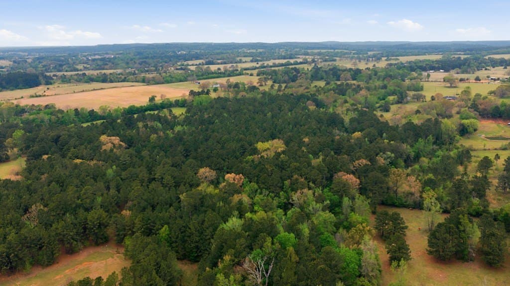 69.19 acres in Henderson County - photo 31