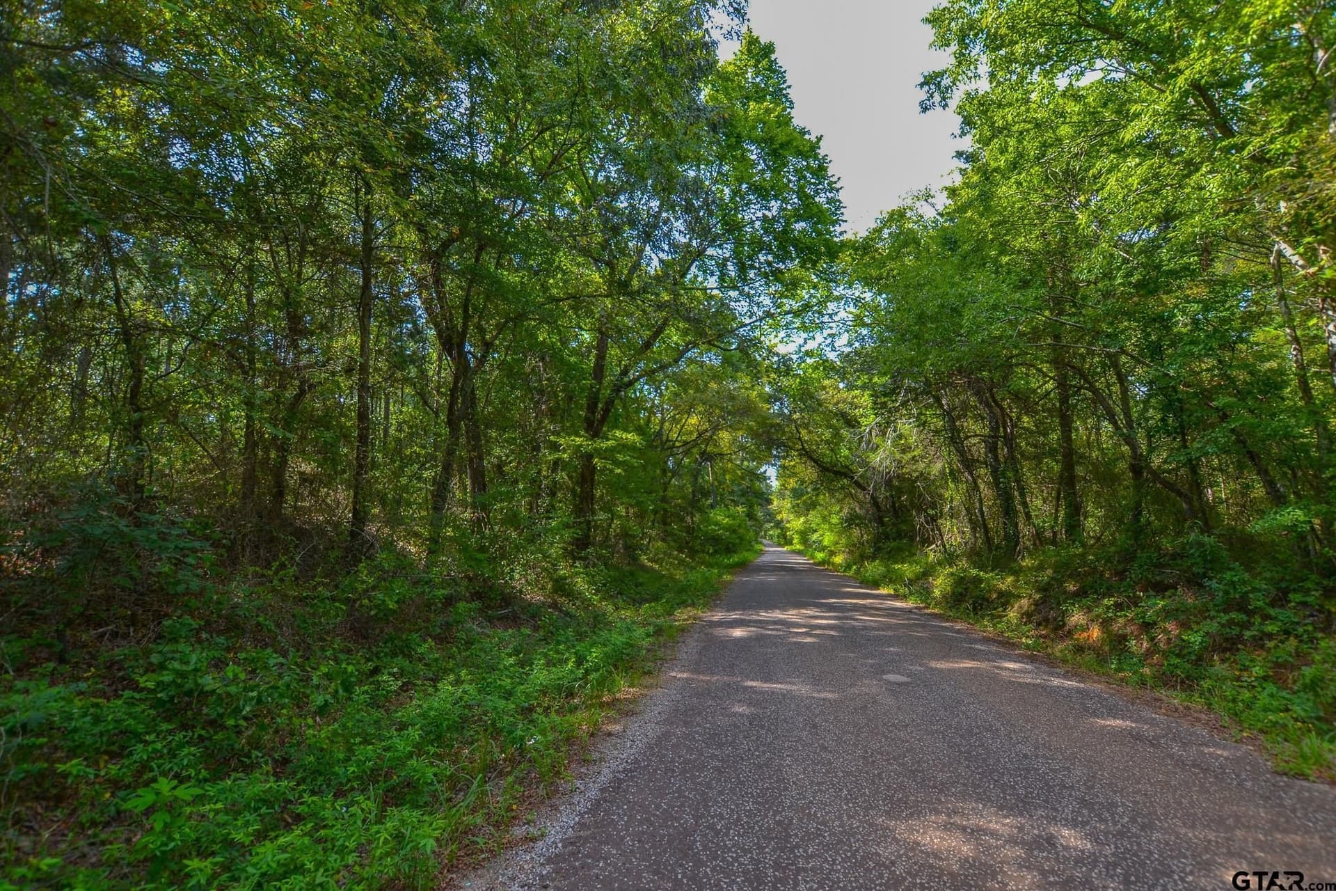 35 acres in Henderson County - photo 2