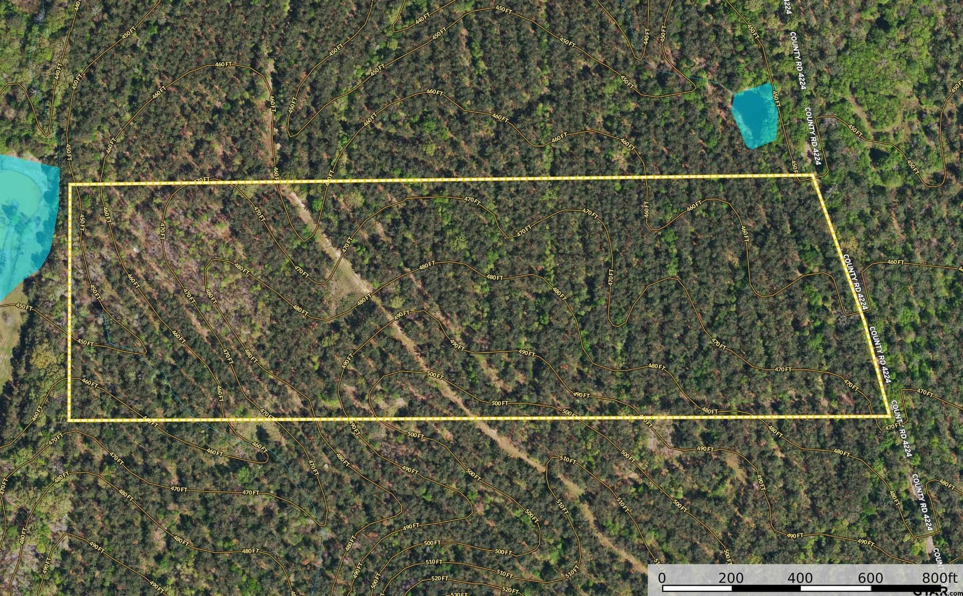 35 acres in Henderson County - photo 10