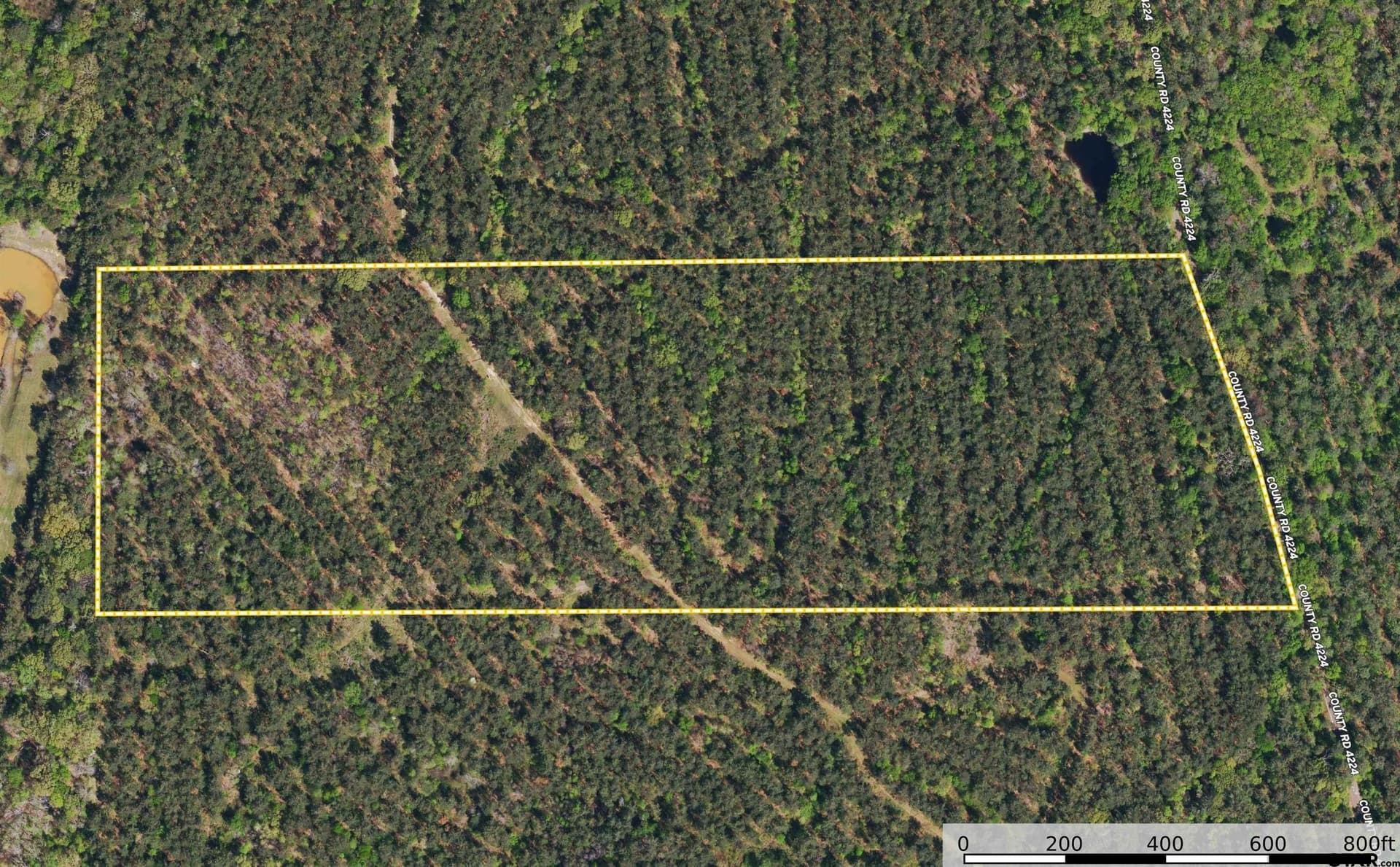 35 acres in Henderson County - photo 9