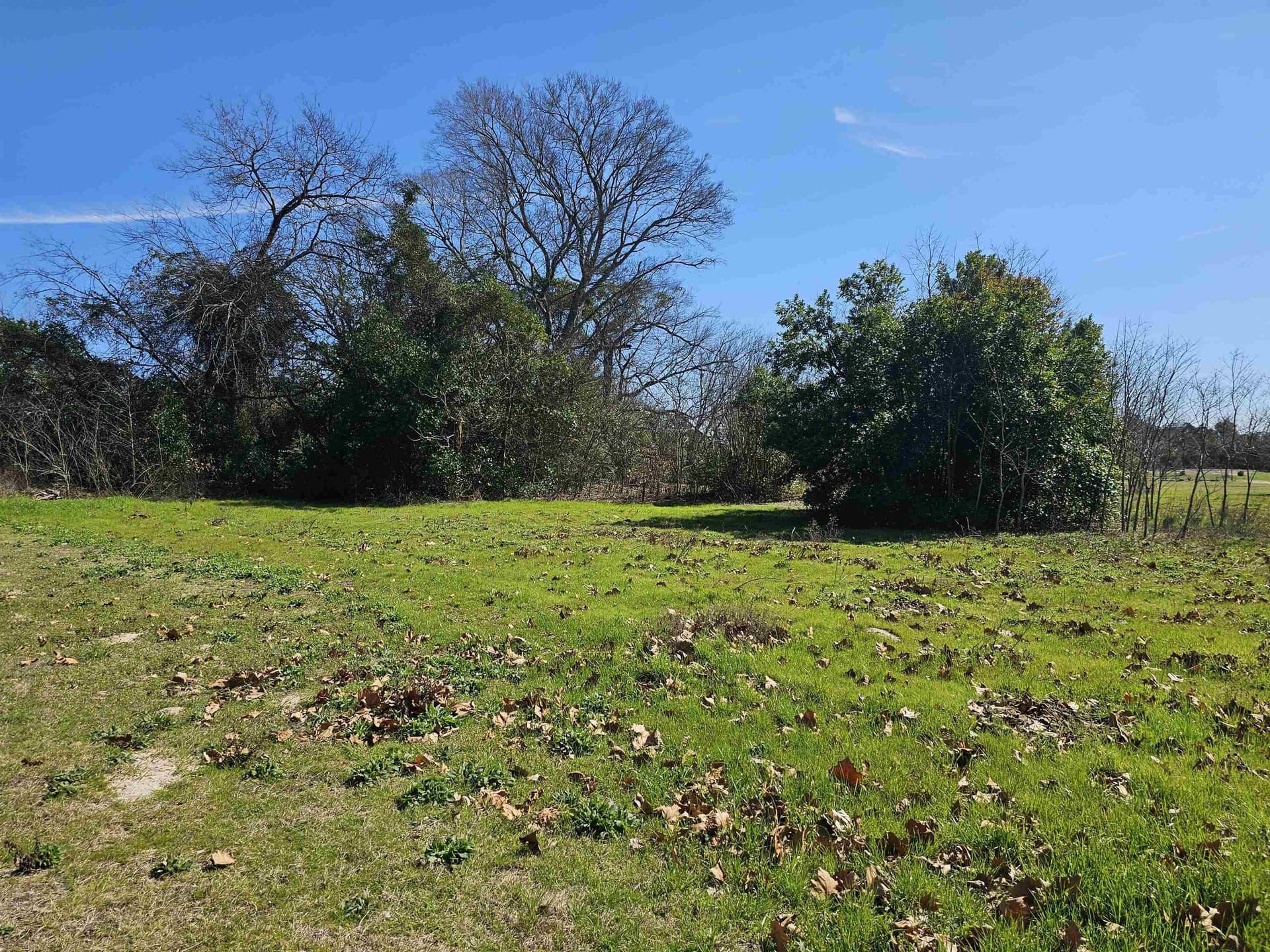 1.3 acres in Upshur County