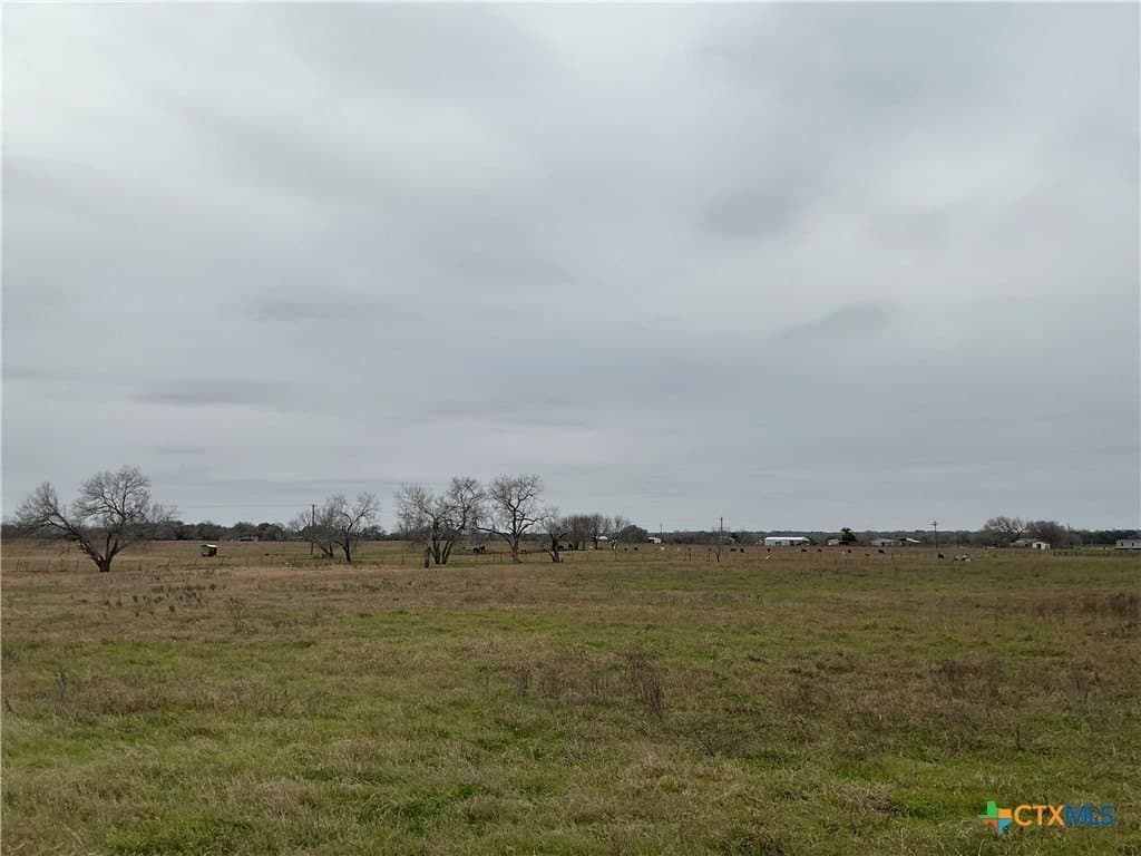 10 acres in Gonzales County gallery image 2
