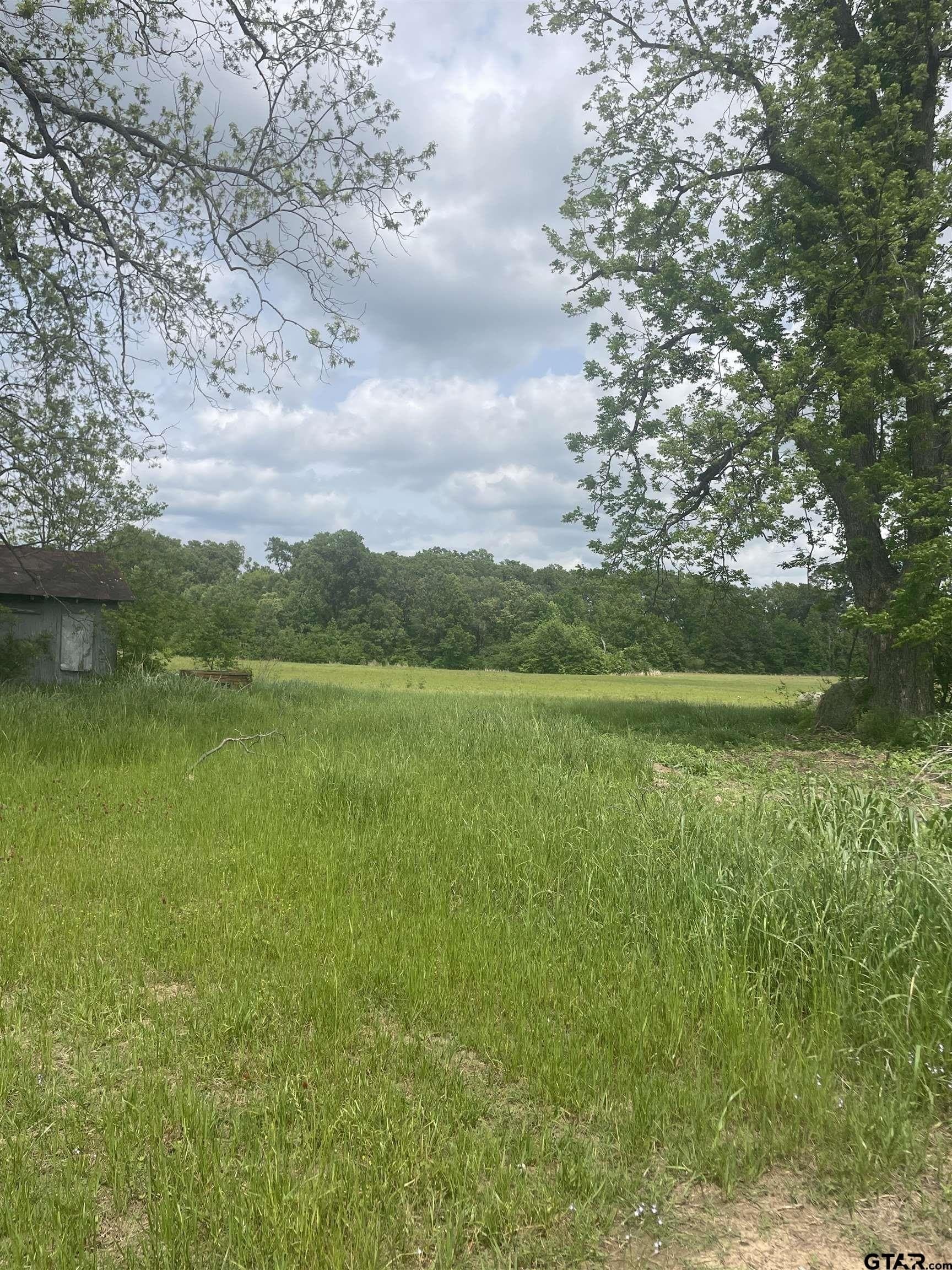 17.38 acres in Camp County gallery image 3