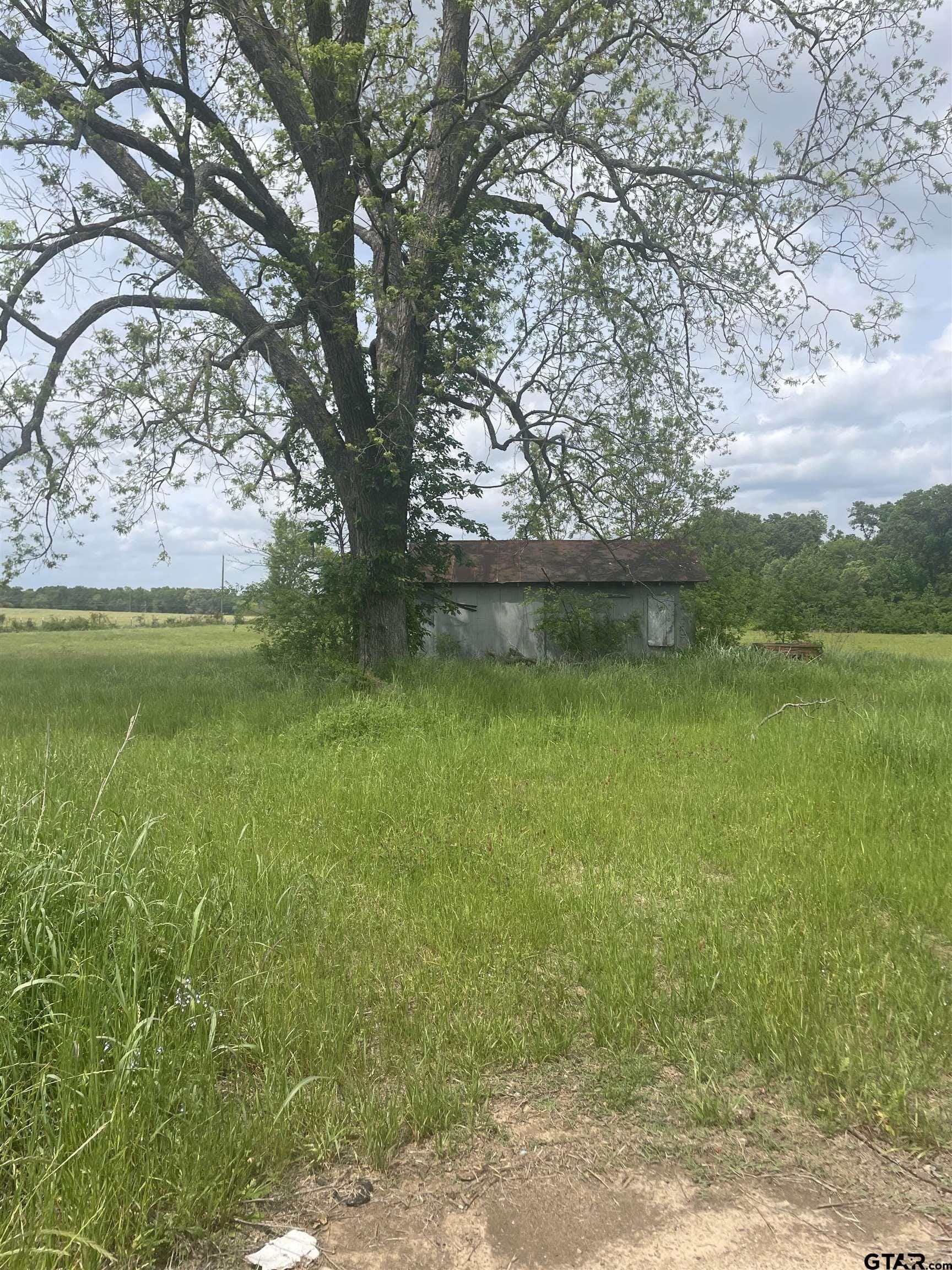 17.38 acres in Camp County gallery image 2