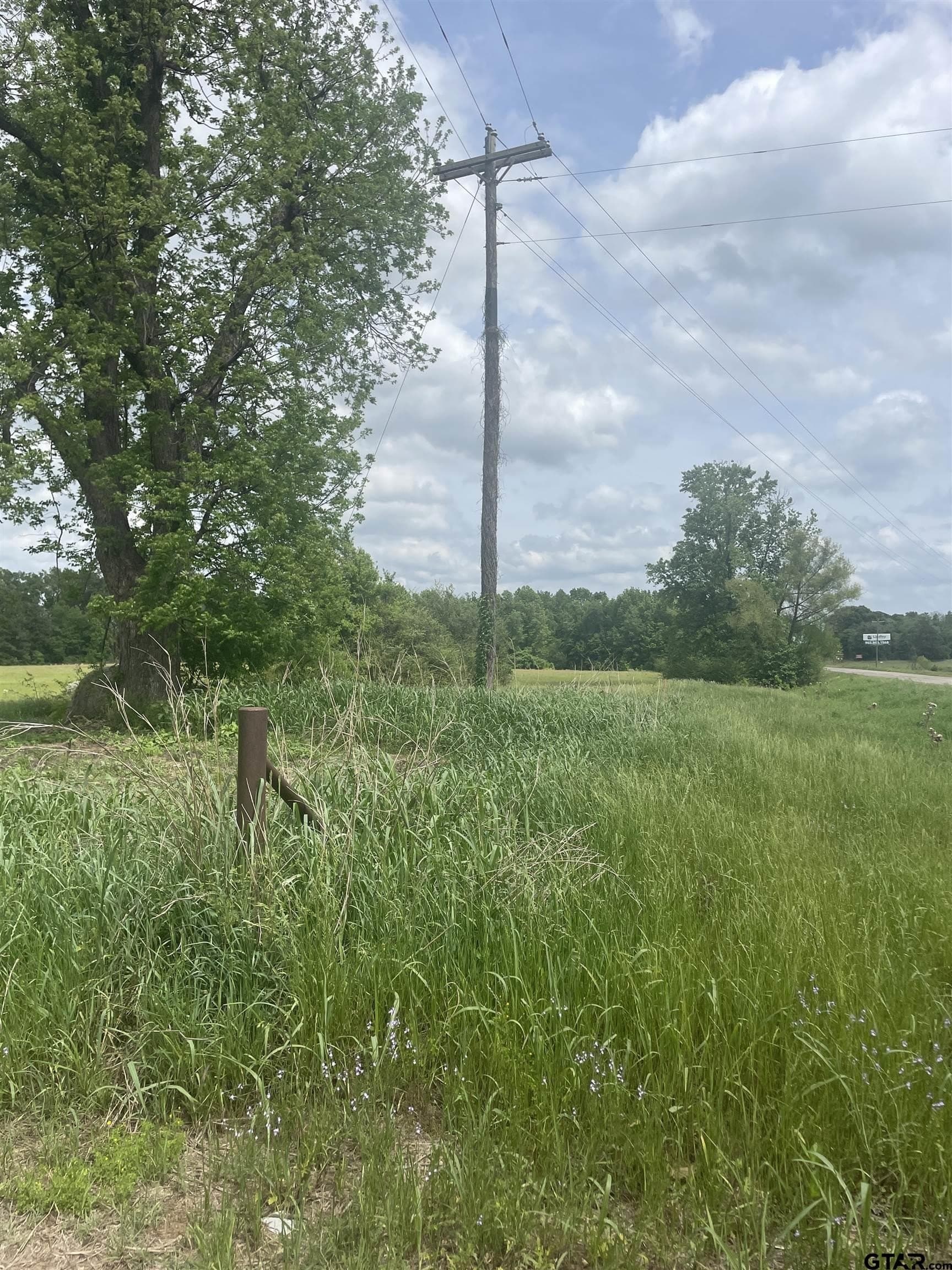 17.38 acres in Camp County gallery image 4