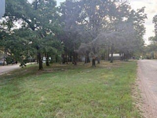 0.58 acres in Henderson County gallery image 3